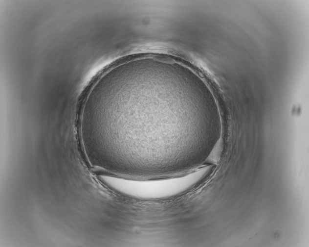 X0000094071312200711021500