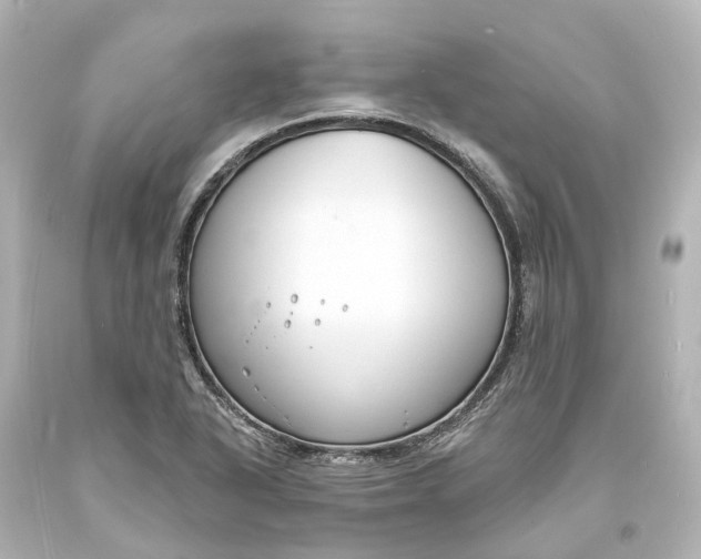 X0000094071318200711021500
