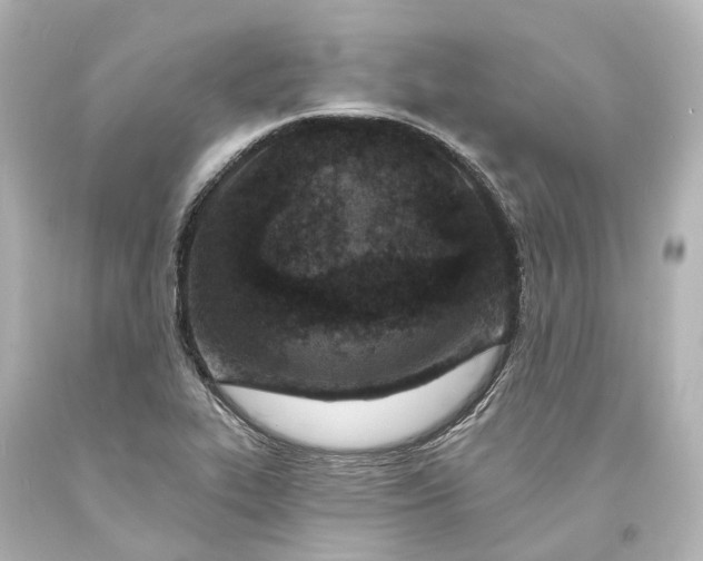 X0000094071319200711021500