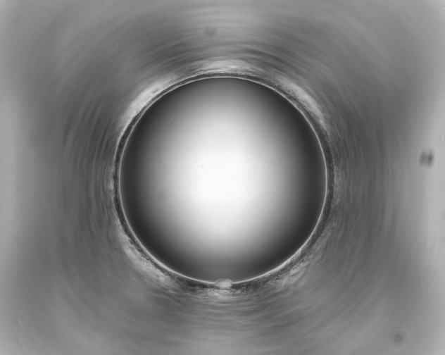 X0000094071330200711021500