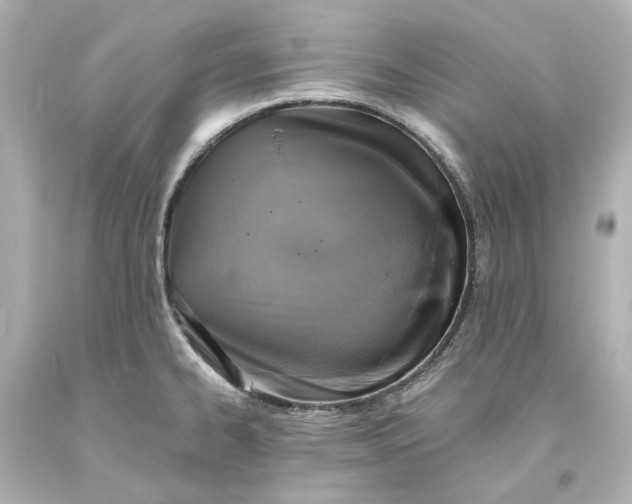 X0000094071334200711021500