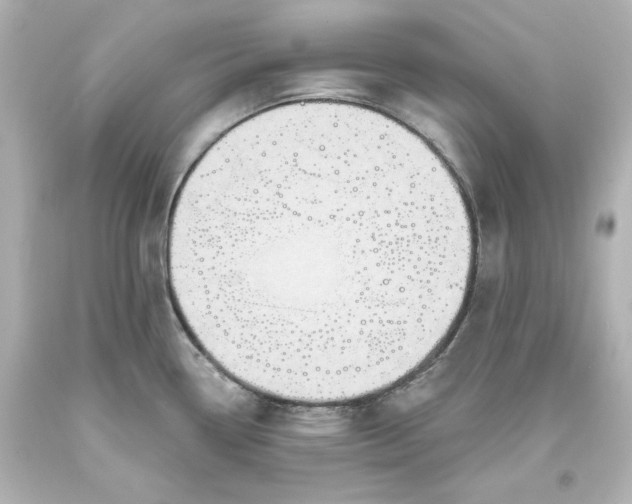 X0000094071338200711021500