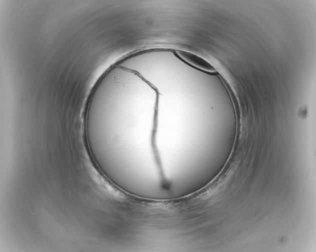 X0000094071341200711021500