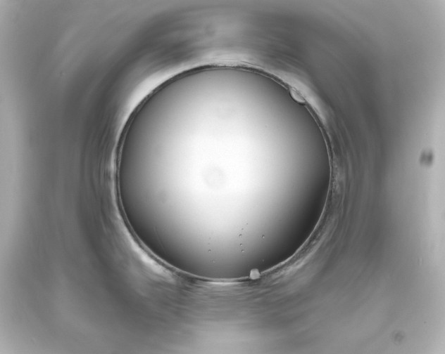 X0000094071343200711021500