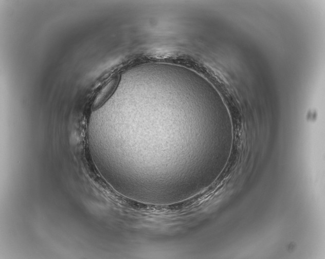 X0000094071349200711021500