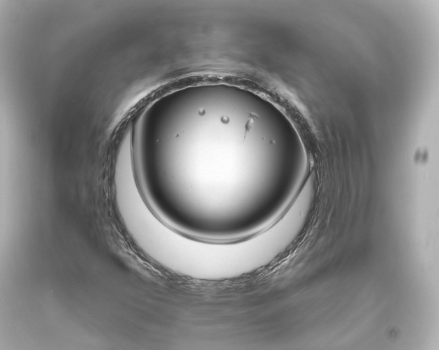 X0000094071352200711021500