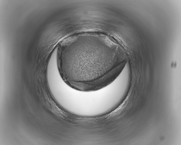X0000094071353200711021500