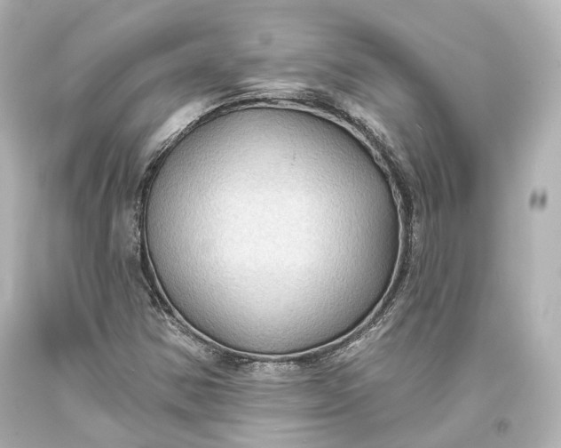 X0000094071354200711021459