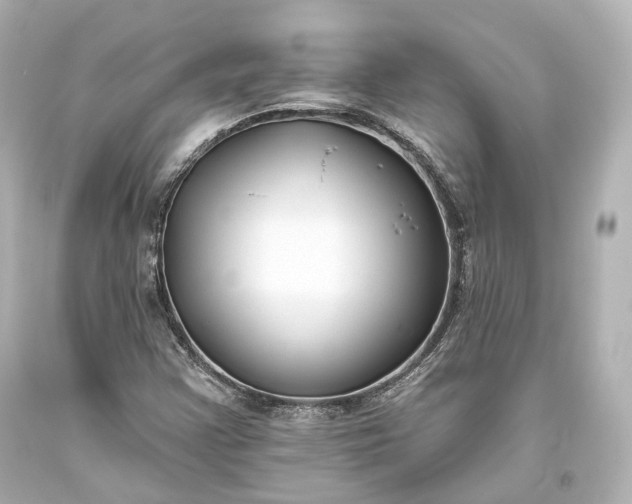 X0000094071355200711021459