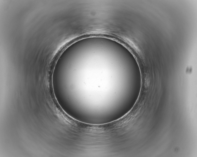 X0000094071356200711021459