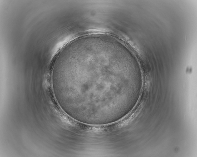 X0000094071357200711021459