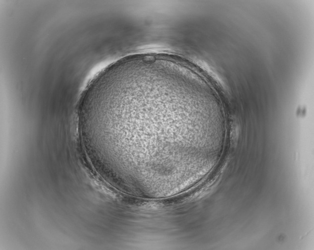 X0000094071358200711021459