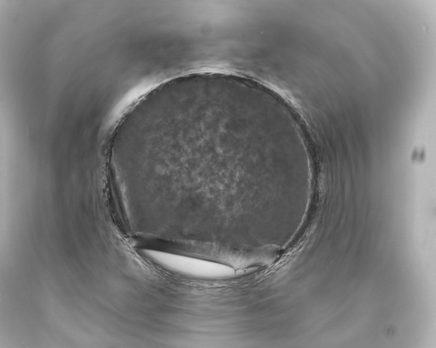 X0000094071359200711021459