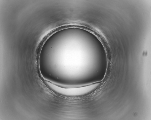 X0000094071360200711021459