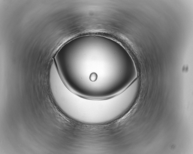 X0000094071361200711021459