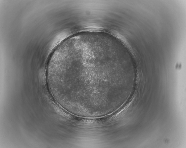 X0000094071362200711021459