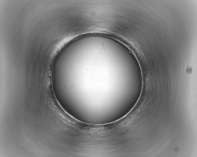 X0000094071363200711021459