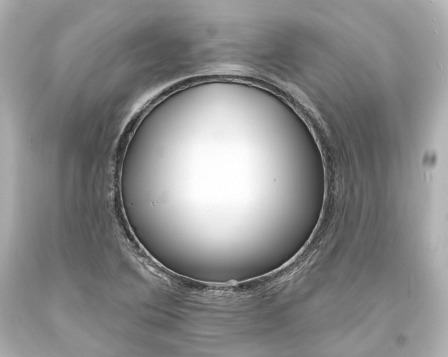 X0000094071364200711021459
