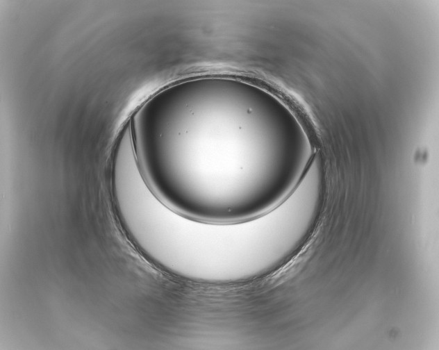 X0000094071365200711021459