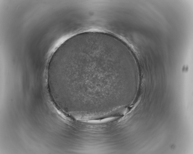 X0000094071367200711021459