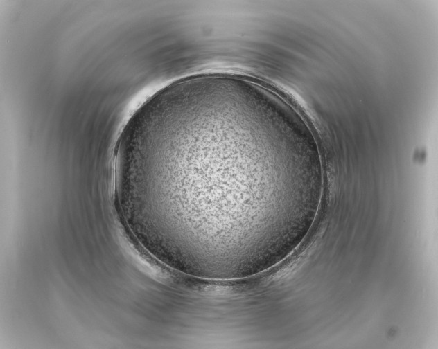 X0000094071371200711021459