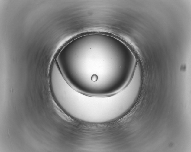 X0000094071372200711021459