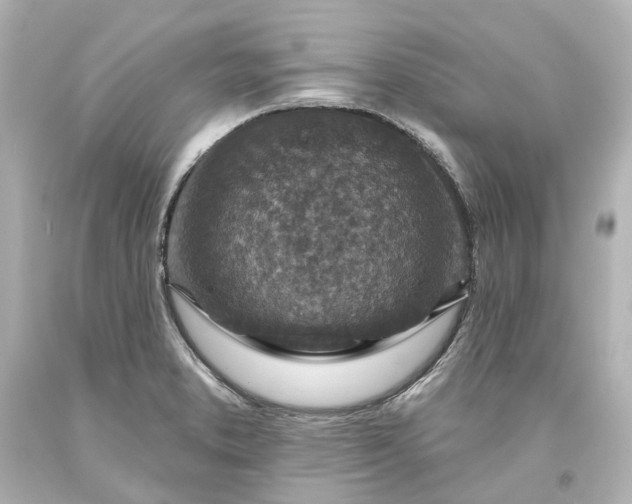 X0000094071373200711021459