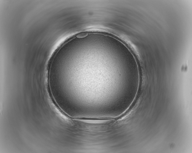 X0000094071376200711021459