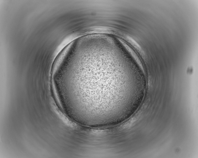 X0000094071378200711021459