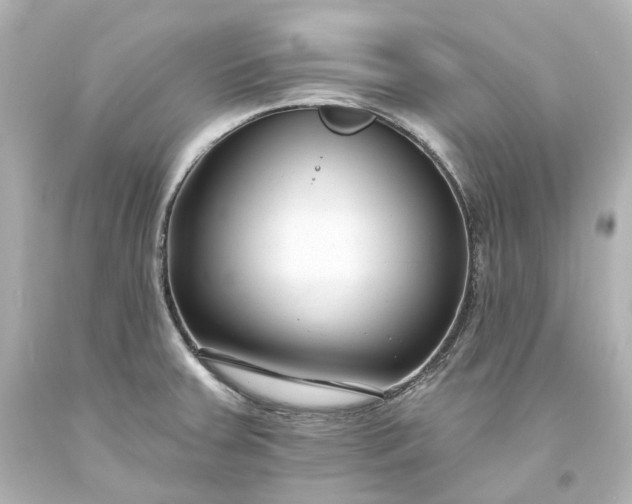 X0000094071379200711021459