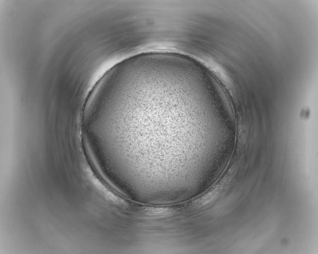 X0000094071382200711021459