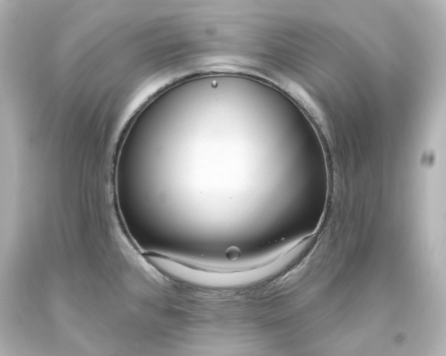 X0000094071384200711021459
