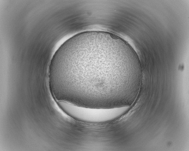 X0000094071387200711021459