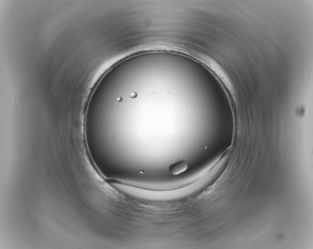 X0000094071388200711021459