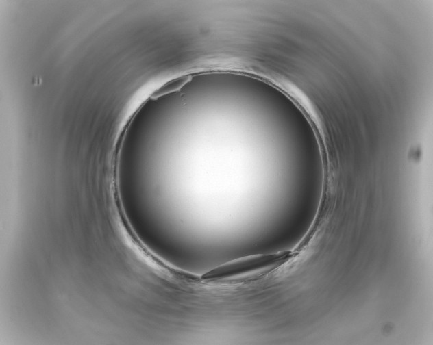 X0000094071389200711021459