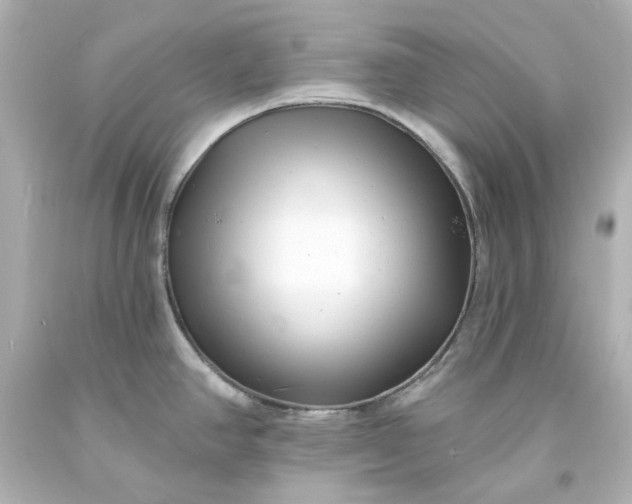 X0000094071390200711021459