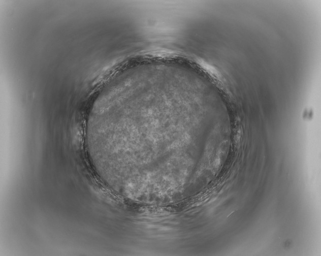 X0000094071397200711021458