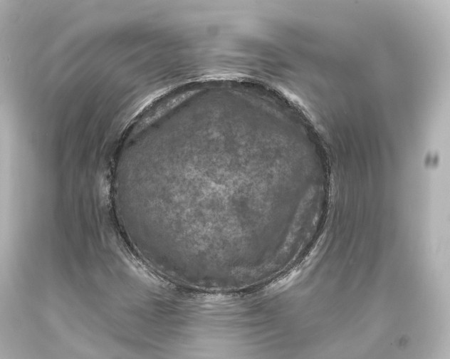 X0000094071401200711021458