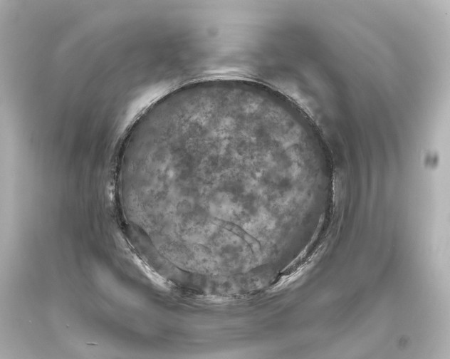 X0000094071405200711021458