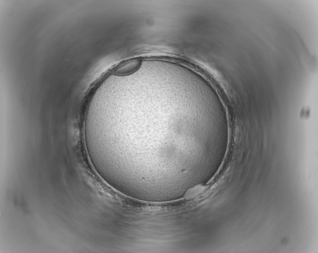 X0000094071407200711021458