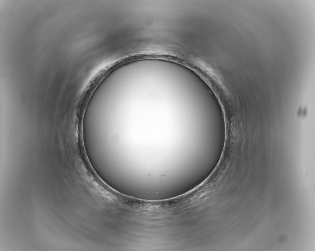 X0000094071408200711021459