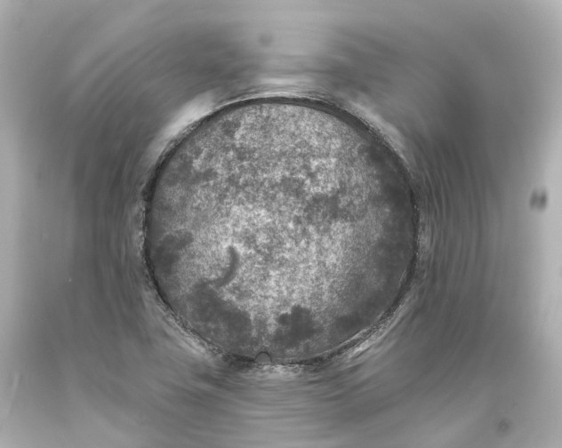 X0000094071411200711021459