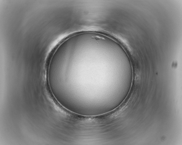 X0000094071414200711021459