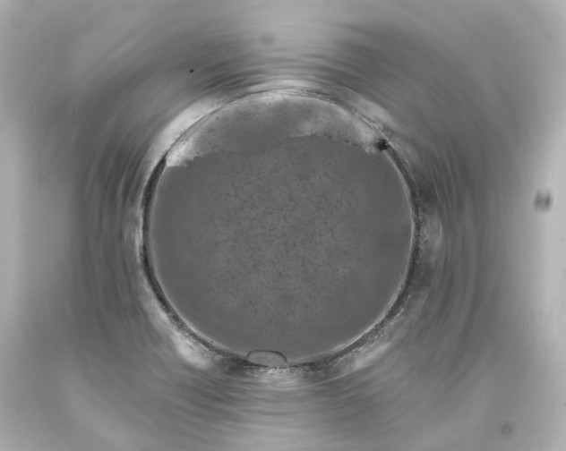 X0000094071418200711021459