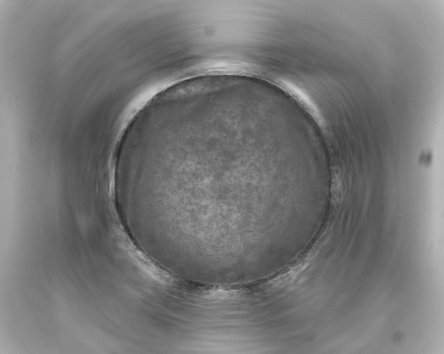 X0000094071419200711021459