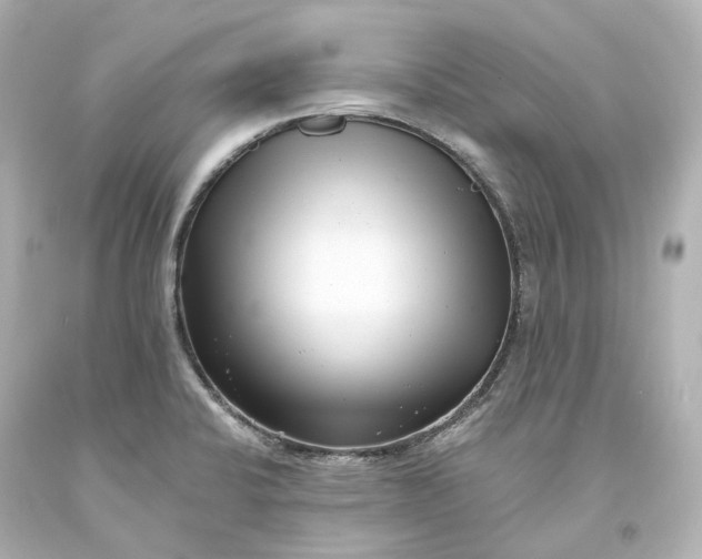 X0000094071424200711021459
