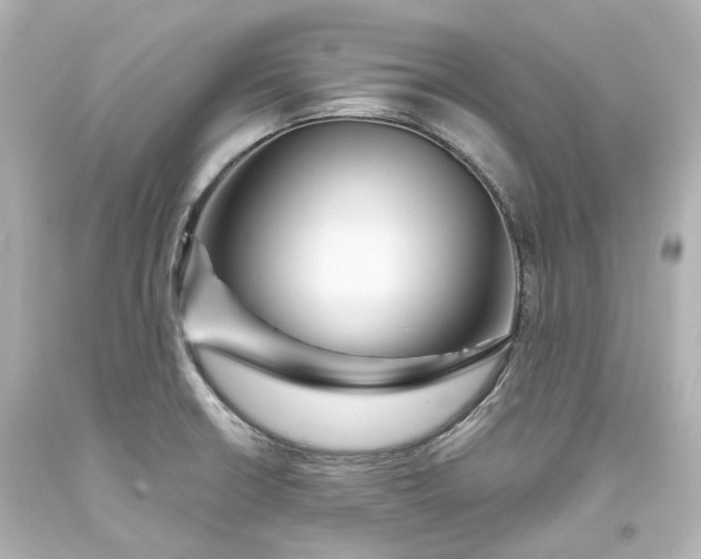 X0000094071426200711021459