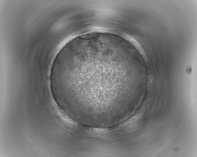X0000094071427200711021459