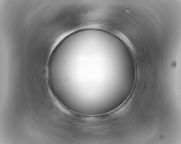 X0000094071436200711021459