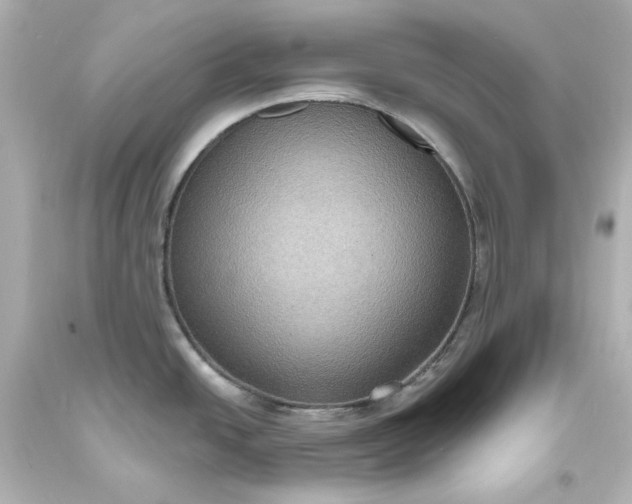 X0000094071438200711021459